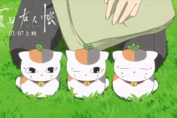 你的猫相关新闻