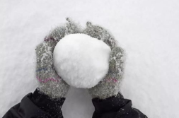 雪球官网,沃伦·巴菲特投资理念与个人投资观的碰撞